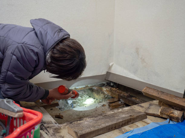 Best Forensic Mold Investigation  in Willamina, OR