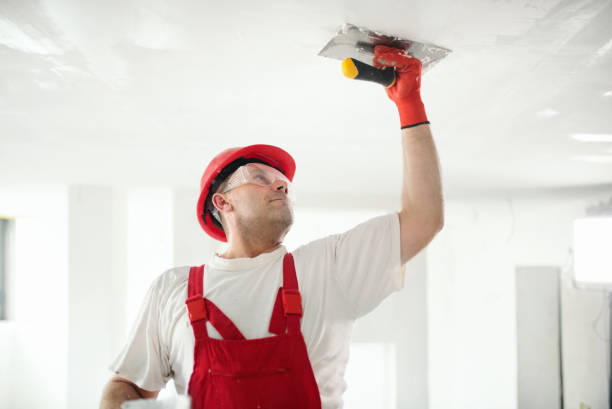 Willamina, OR Mold Removal Company